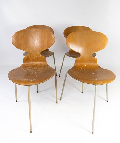 Sæt af fire Myre stole, model 3101, i lyst trædesignet af Arne Jacobsen i 1952 
og fremstillet af Fritz Hansen i 1950erne.
5000m2 udstilling.