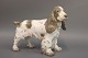 B&G figur nr. 2095 Cocker Spaniel. Design Laurtiz Jensen.
5000m2 udstilling.
